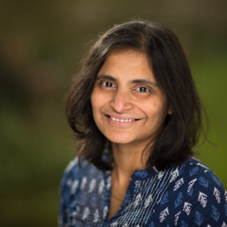 Vidya Nanayanan headshot.